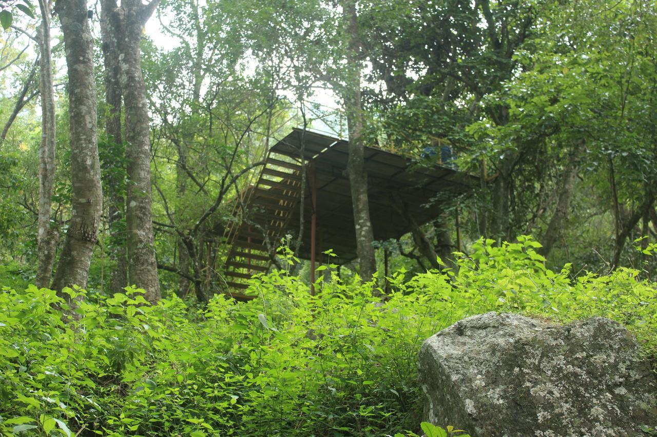 Secret Valley Jungle Resort Ooty Exterior foto